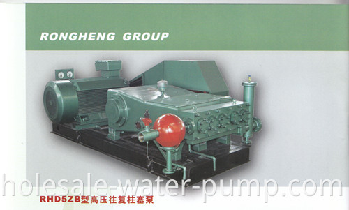 Reciprocating Plunger Pump